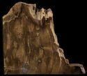Petrified Wood Bookends - Oregon #52513-1